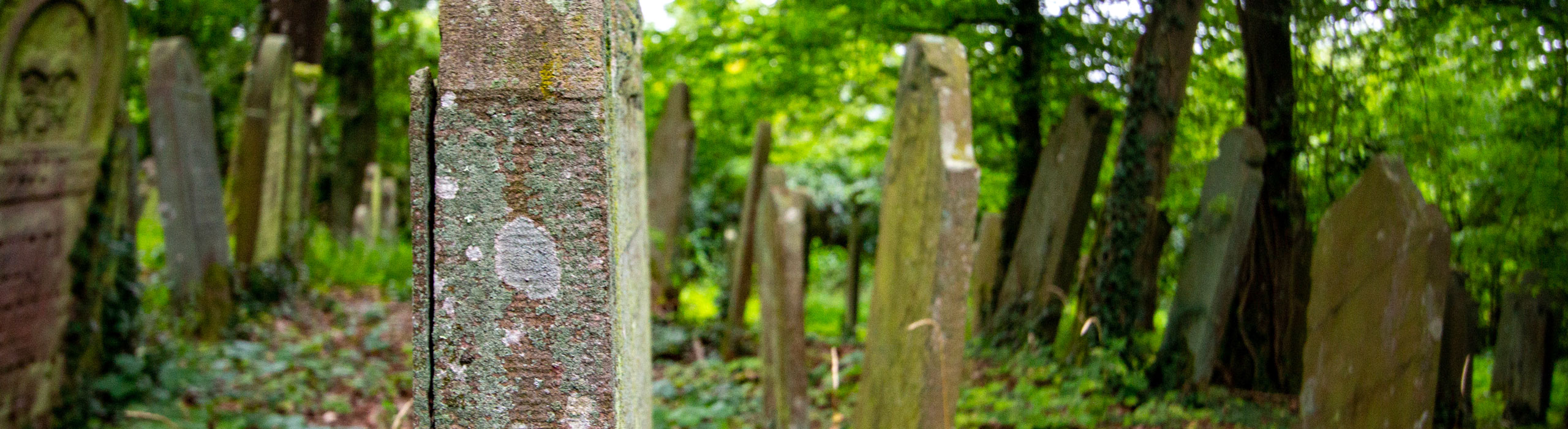 Susanna Stern - Jüdischer Friedhof Bödigheim