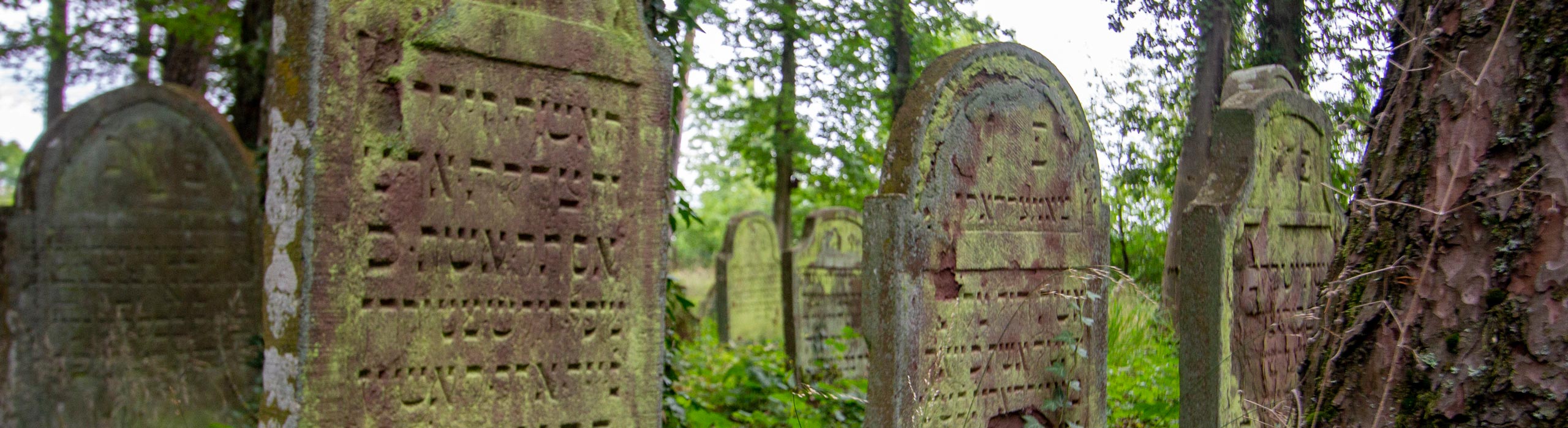 Die jüdischen Gemeinden - Jüdischer Friedhof Bödigheim