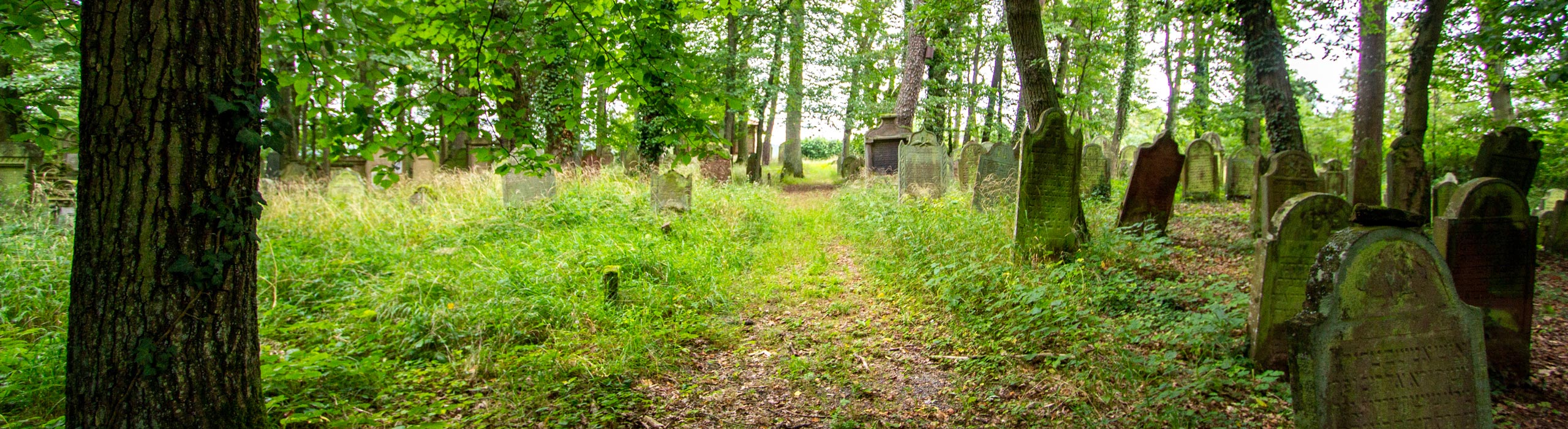 Links - Jüdischer Friedhof Bödigheim